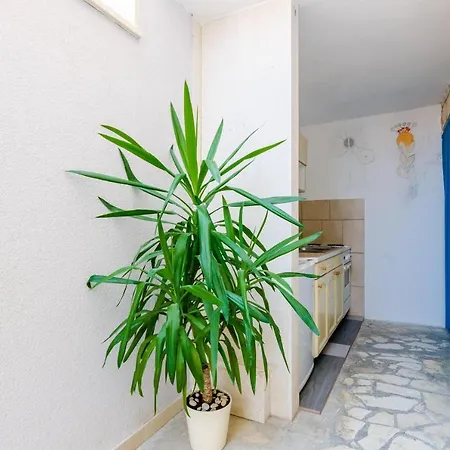 Apartman Nikola- Single With Terrace And Sea View